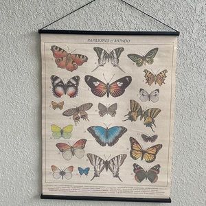 Butterfly poster <333